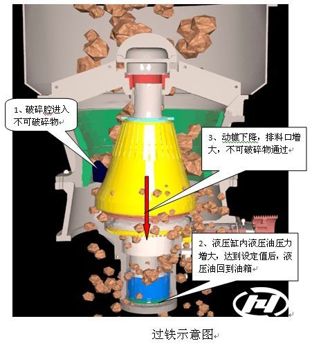 �A�F����C�^�F���o